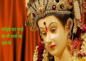 Read more about the article नवरात्रि पर दुर्गा के नौ रूप, मंत्र-भोग की पूरी जानकारी यहां पढ़िये