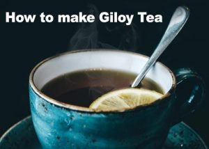 Read more about the article गिलोय काढ़ा कैसे बनाएं – How to make Giloy Tea in Hindi
