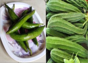 Read more about the article Benefits of Turai in Hindi – तोरई क्यों है गुणकारी, जानिये