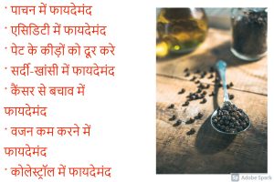 Read more about the article काली मिर्च के फायदे और नुकसान  – 18 Black Pepper Benefits in Hindi