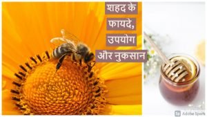 Read more about the article शहद खाने के फायदे – 11 Honey benefits in Hindi