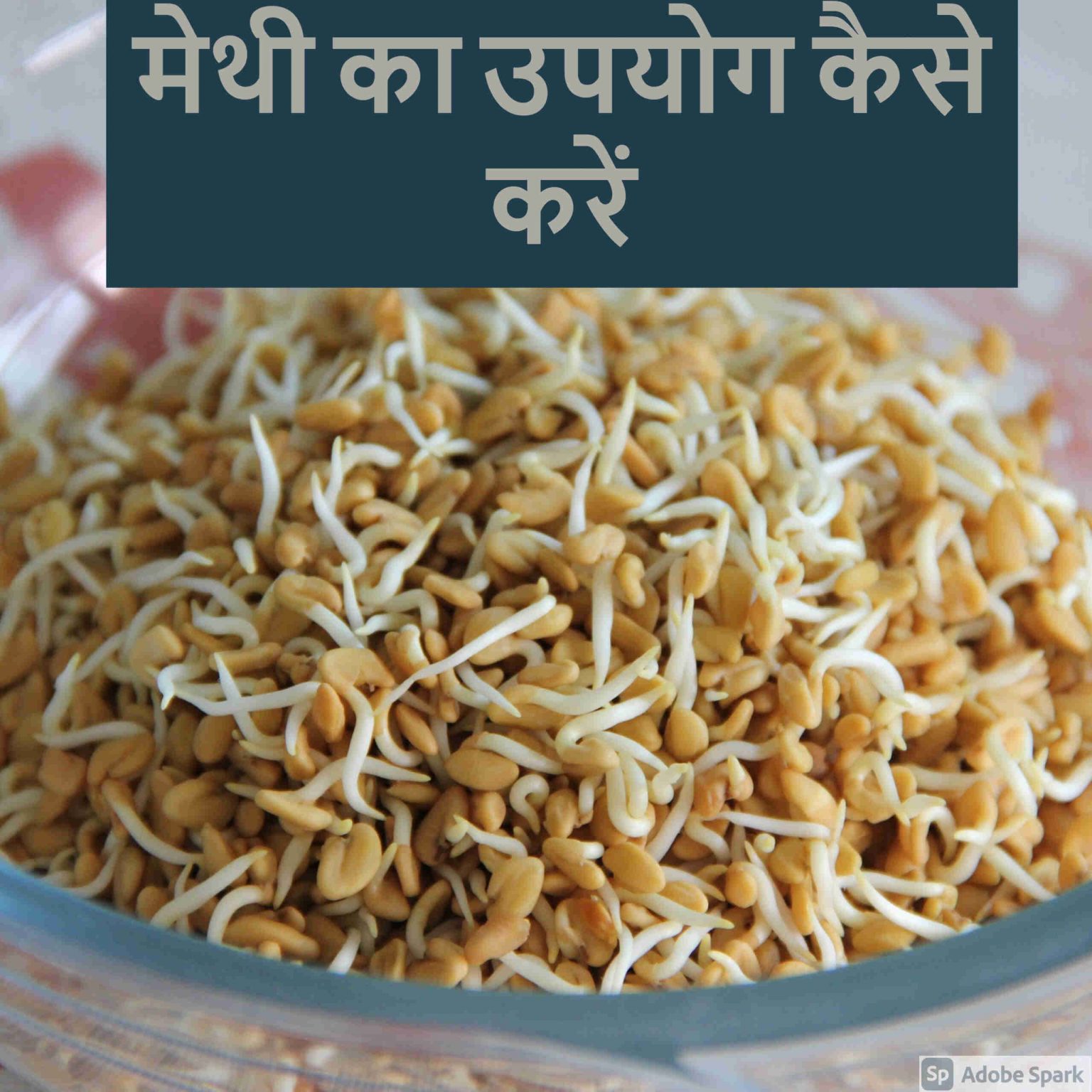 Methi Dana Ke Fayde Aur Nuksan Fenugreek Seeds in Hindi