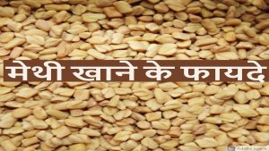 Read more about the article Methi Dana Ke Fayde Aur Nuksan – Fenugreek Seeds in Hindi