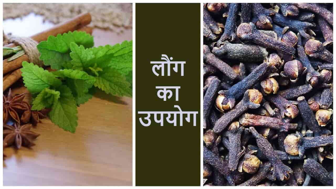 लौंग खाने के फायदे, उपयोग और नुकसान 11 Proven Clove Benefits in Hindi