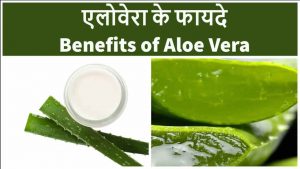 Read more about the article एलोवेरा के फायदे – 10 Aloe Vera Benefits in Hindi