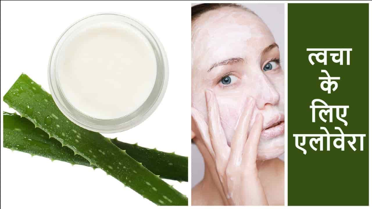 एलोवेरा के फायदे 10 Aloe Vera Benefits in Hindi