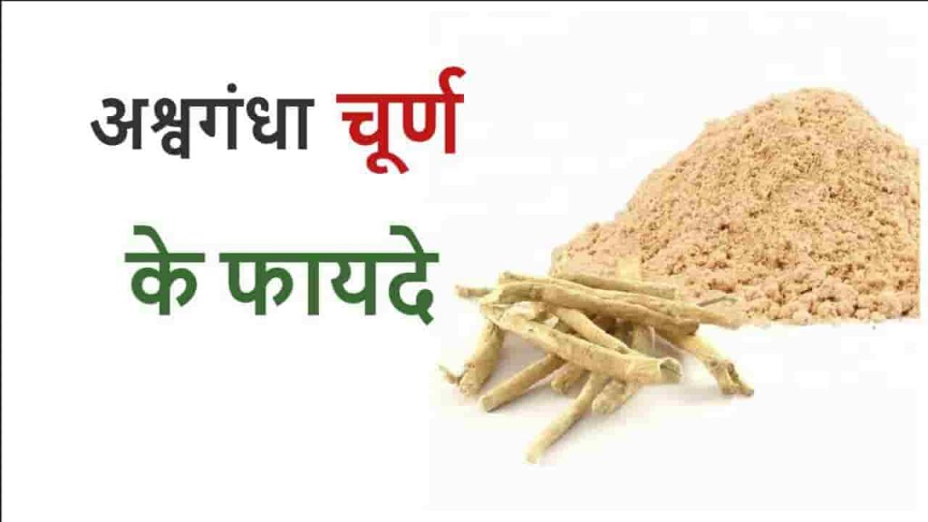 ashwagandha churna ke fayde ashwagandha churna ke fayde