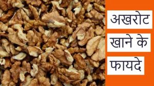 Read more about the article अखरोट खाने के फायदे और नुकसान – Walnuts Benefits in Hindi