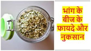 Read more about the article चौंकिये नहीं, भांग खाने से हो सकते हैं ये 10 फायदे – Bhang ke Fayde in Hindi