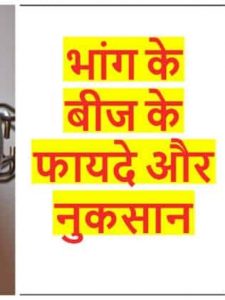 Read more about the article भांग के बीज के फायदे और नुकसान