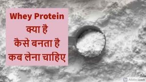 Read more about the article Whey Protein क्या है, इसके फायदे, उपयोग और नुकसान