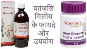 Read more about the article गिलोय पीने के फायदे – Giloy Benefits in Hindi
