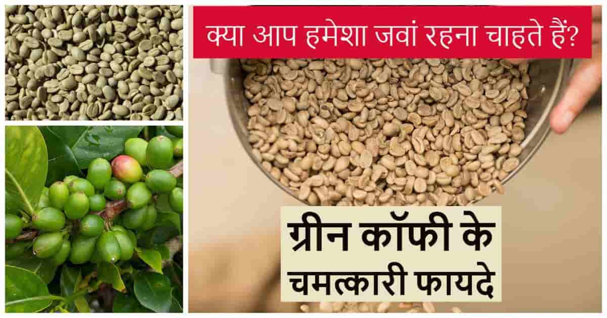 ग्रीन कॉफी के फायदे Green Coffee Benefits in Hindi