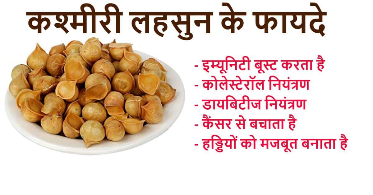 कश्मीरी लहसुन खाने के फायदे Kashmiri Garlic 10 Benefits