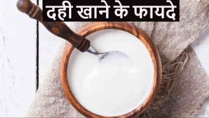 Read more about the article Dahi Khane Ke Fayde in Hindi – दही खाने के फायदे