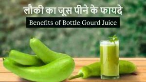 Read more about the article लौकी के जूस के फायदे – 10 Benefits of Bottle Gourd Juice in Hindi