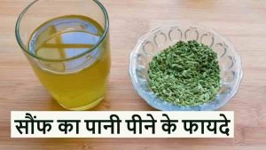 Read more about the article जानिये सौंफ का पानी पीने के फायदे, खत्म होती हैं ये 10 बीमारियां