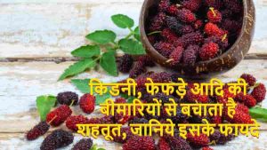 Read more about the article शहतूत के फायदे – Shahtoot Benefits in Hindi