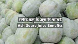 Read more about the article सफेद कद्दू या पेठा का जूस पीने के फायदे – Ash Gourd Juice Benefits in Hindi