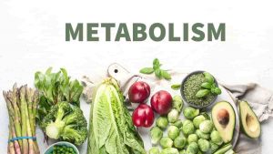 Read more about the article How to Increase Metabolism in Hindi – मेटाबॉलिज्म बढ़ाने की दवा