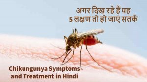 Read more about the article चिकनगुनिया: लक्षण व उपचार की पूरी जानकारी जानें – Chikungunya Symptoms and Treatment in Hindi