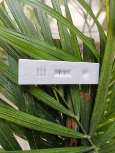 Read more about the article Pregnancy Routine: गर्भावस्था में दिनचर्या कैसी रखें